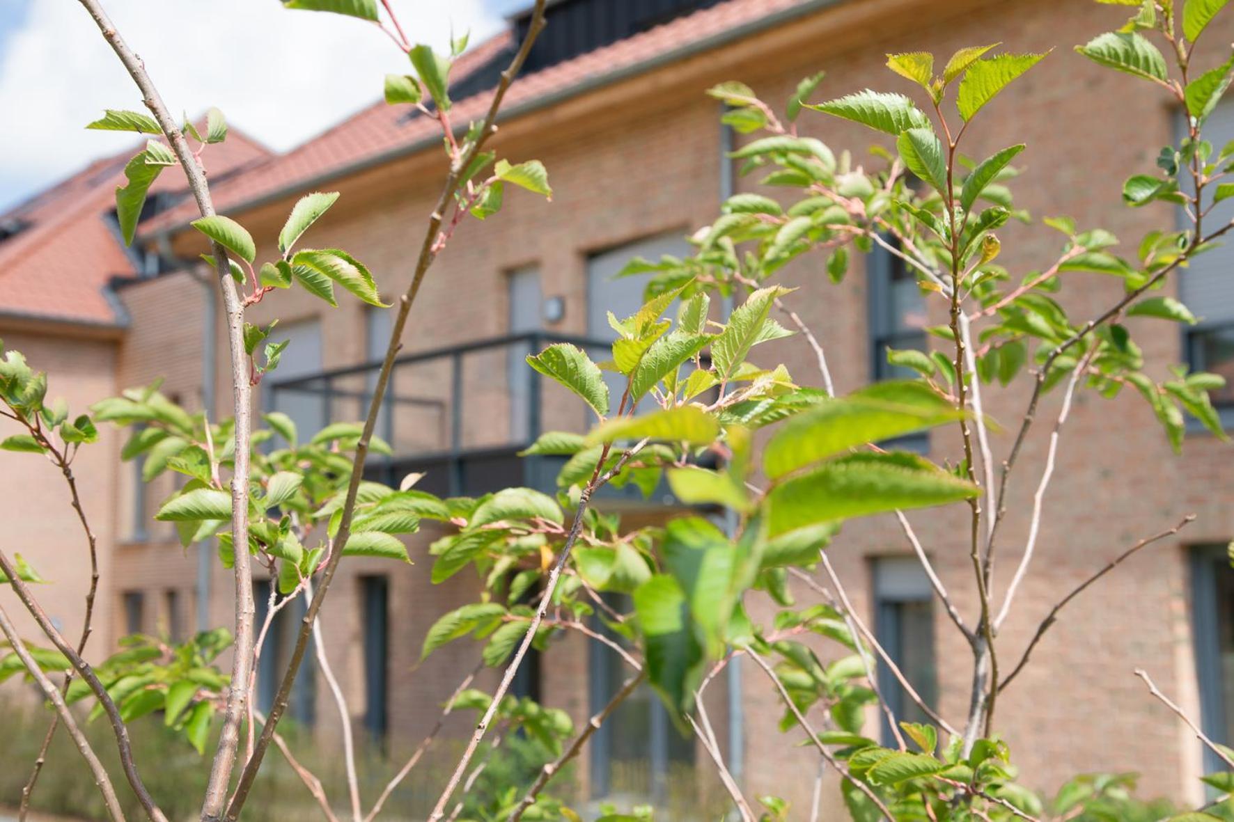 Wohnen Am Suedstrand - Ferienwohnung 1 5 Wyk auf Foehr Ngoại thất bức ảnh